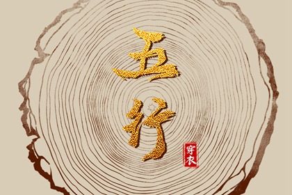双人紫微合盘详解,八字测算紫微命盘,命命盘,命盘夫妻宫变动